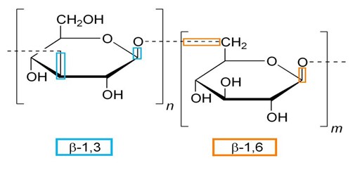 cấu trúc beta glucan