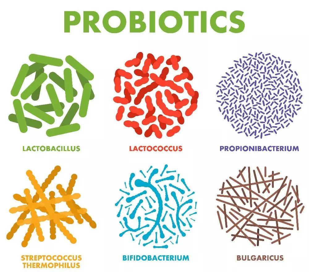 một số loại probiotics