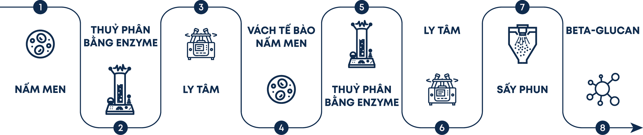 quy trình tách chiết beta glucan