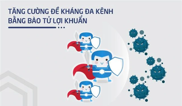 tác dụng của bào tử lợi khuẩn