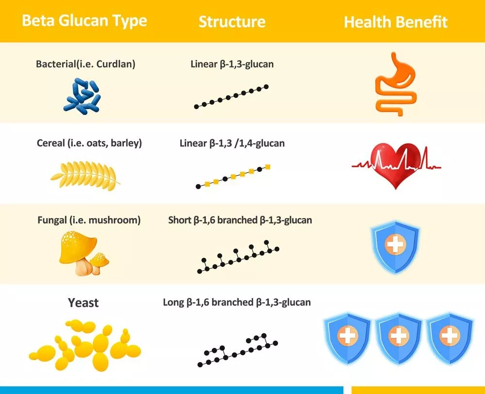 tác dụng của beta glucan với cơ thể