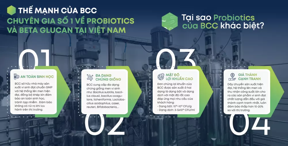 thế mạnh của bcc probiotics