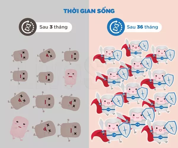 thời gian sống của bào tử lợi khuẩn