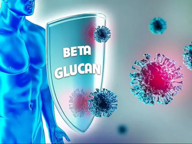 vai trò của beta glucan