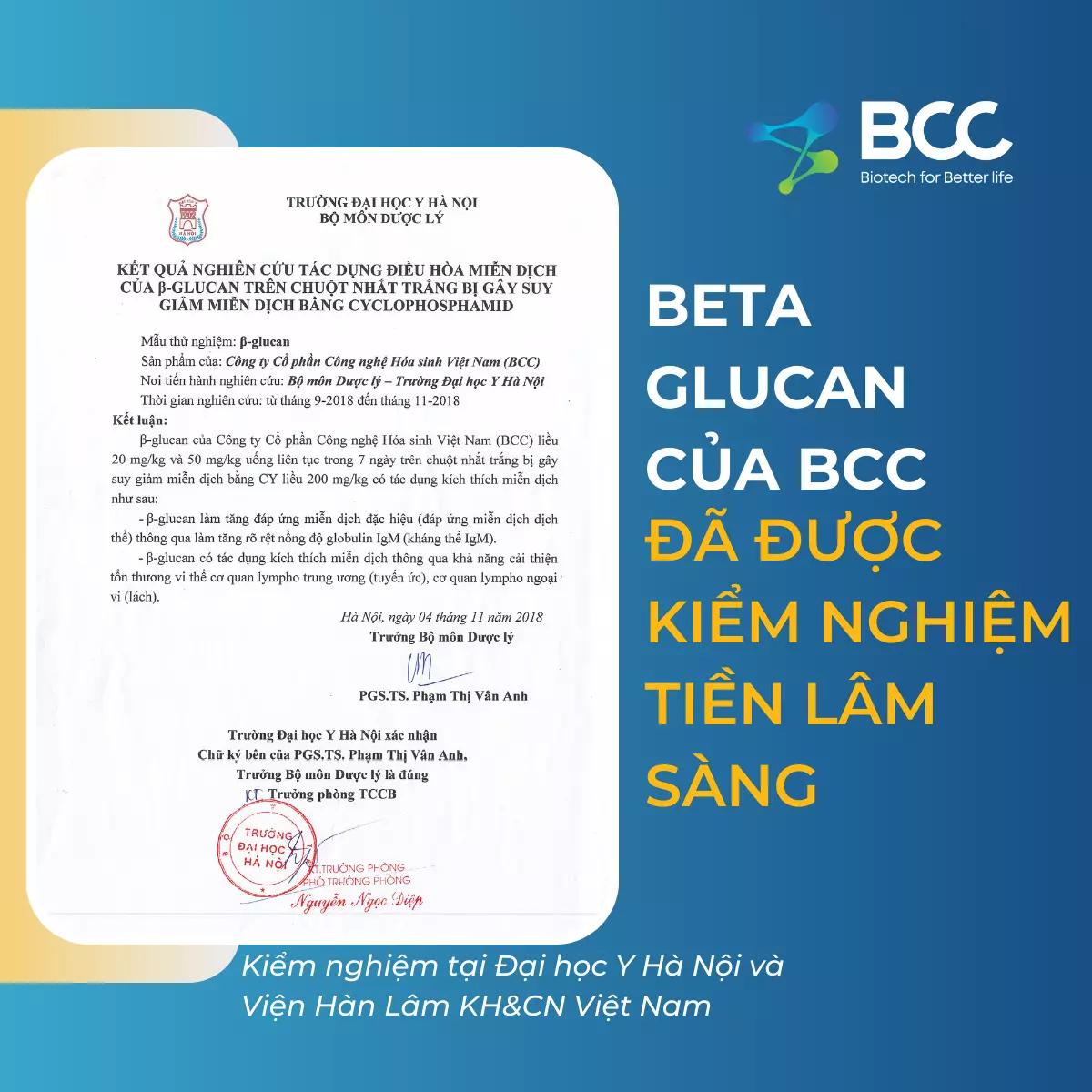 beta glucan của bcc được kiểm nghiệm tiền lâm sàng