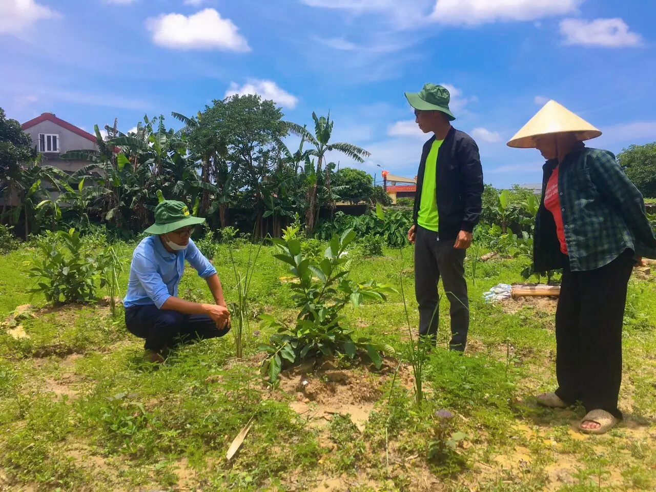 chế phẩm sinh học trong trồng trọt