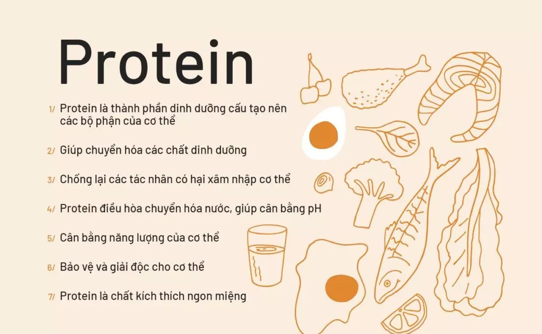 vai trò của protein