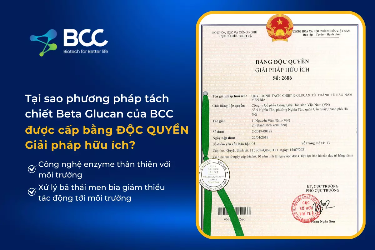 bằng độc quyền tách chiết beta glucan của bcc