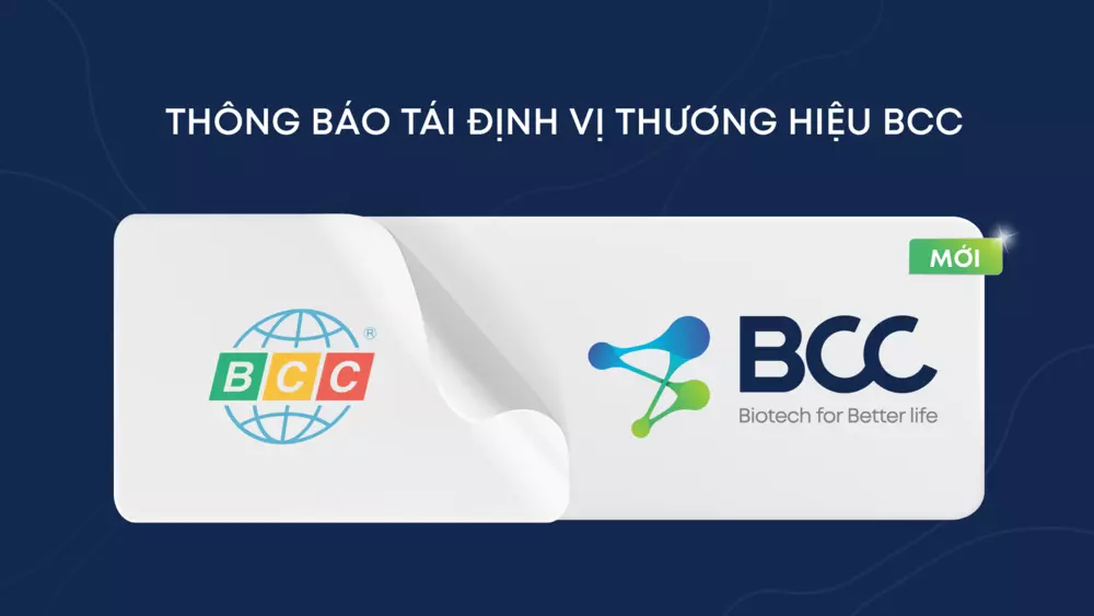 bộ nhận diện thương hiệu mới của bcc