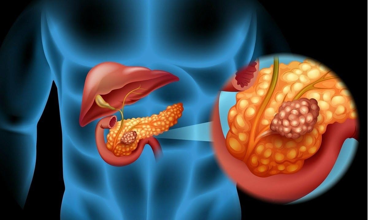 enzyme tiêu hóa