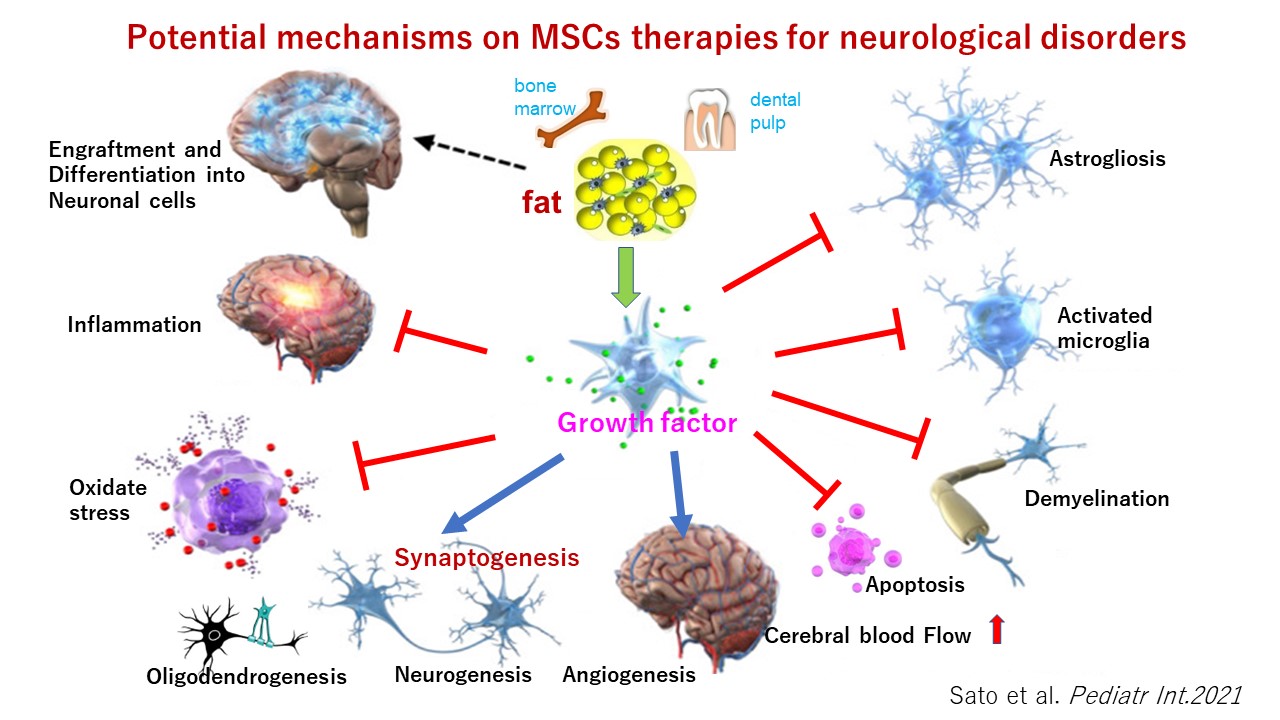 liệu pháp mscs