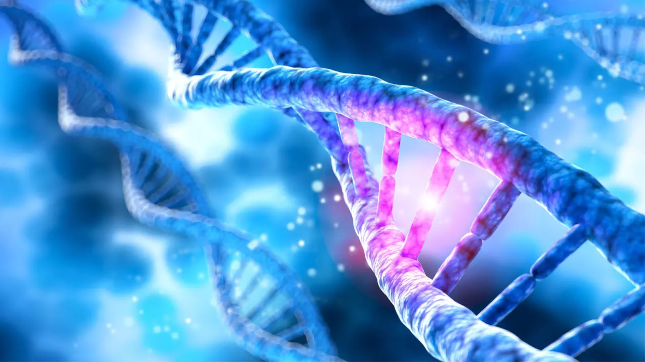 tình trạng đột biến do hỏng đoạn dna