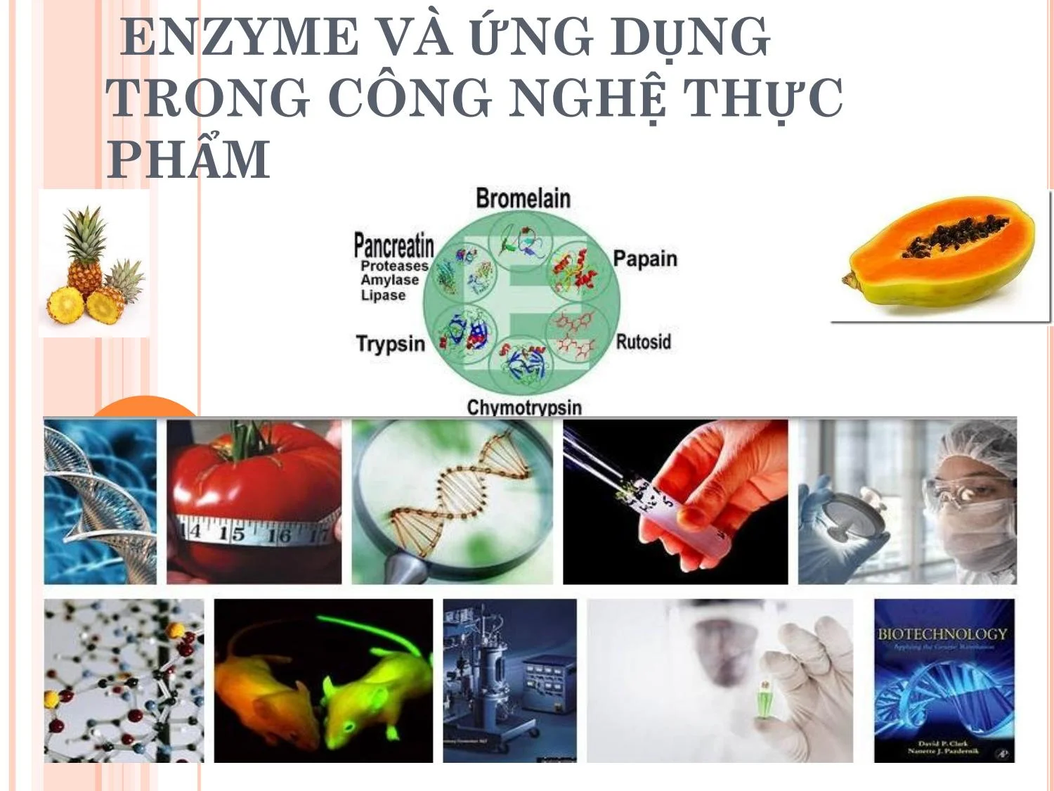 ứng dụng của enzyme