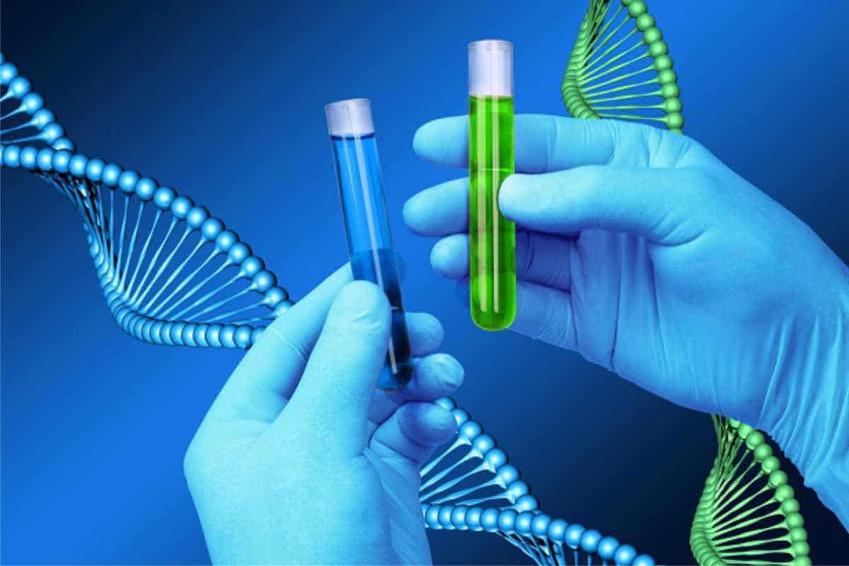 xét nghiệm dna huyết thống