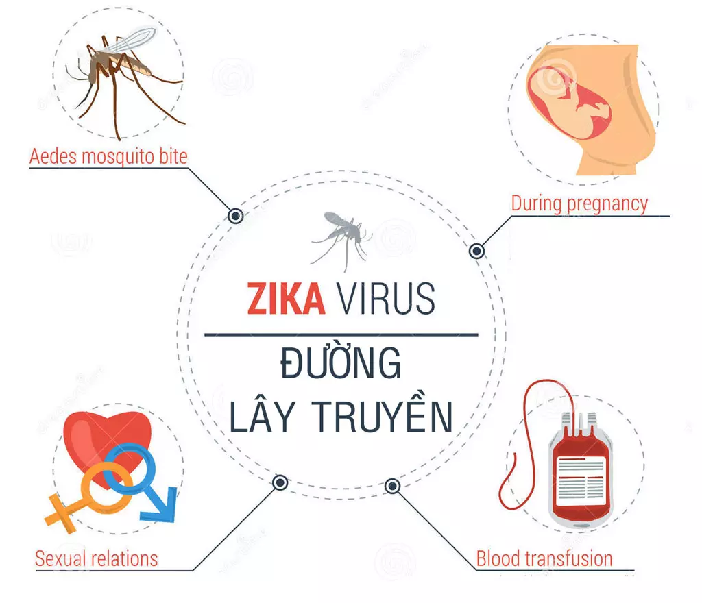 đường lây truyền của zika