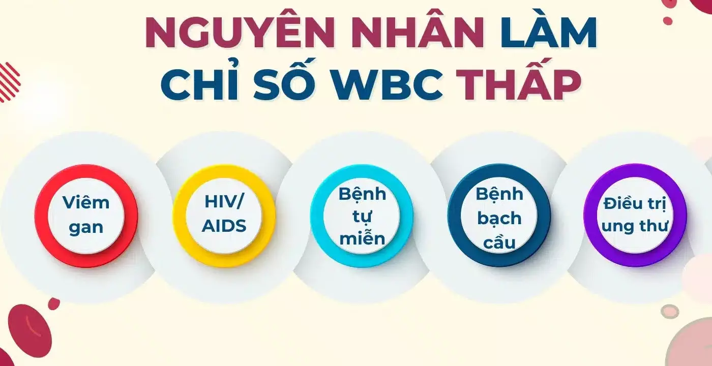 nguyên nhân làm chỉ số wbc thấp