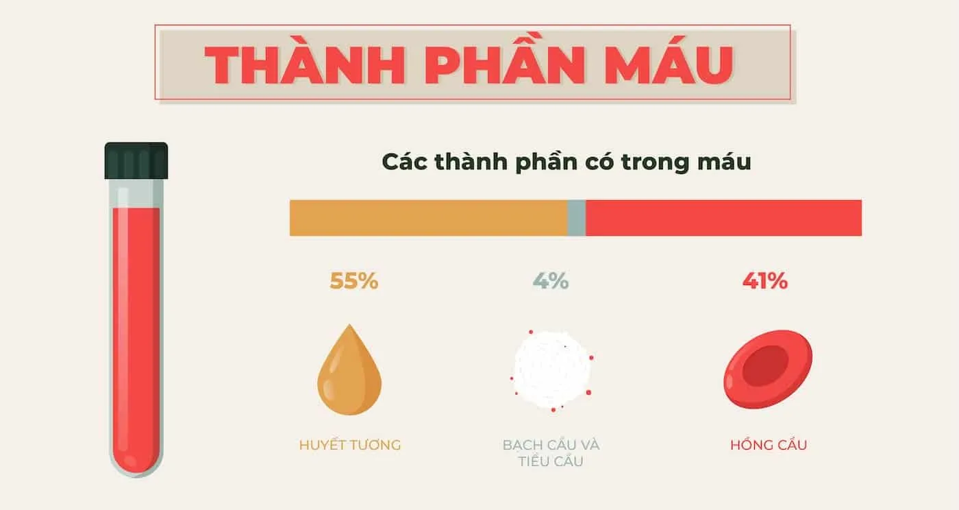 thành phần máu