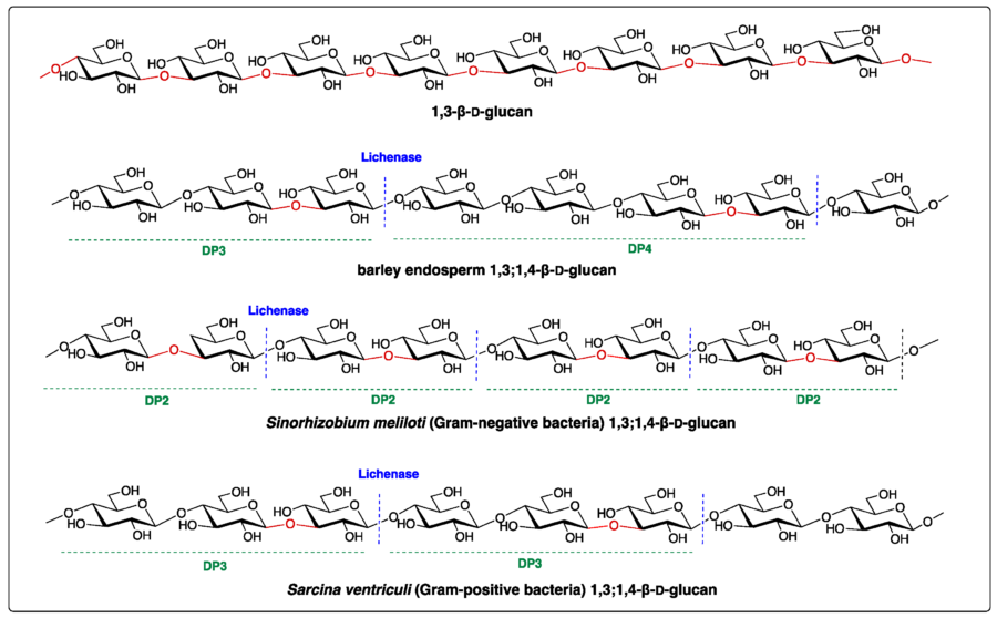 1 3 1 4 b glucan