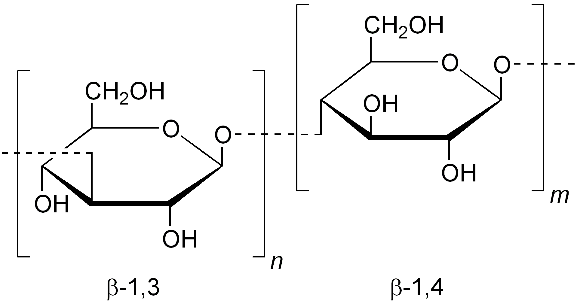 cấu trúc beta 1 3 1 4 glucan