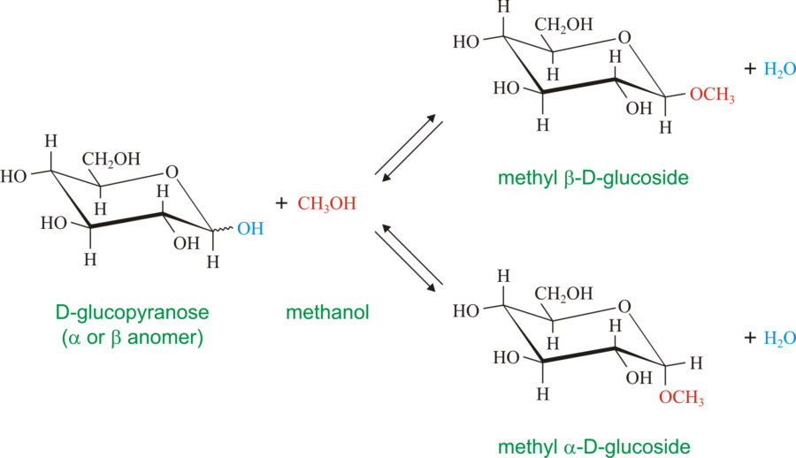 glycoside là gì