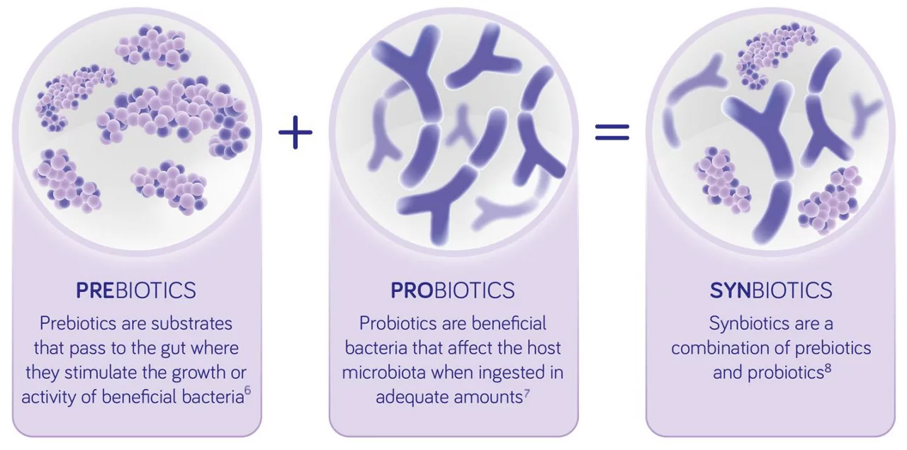 khái niệm synbiotic