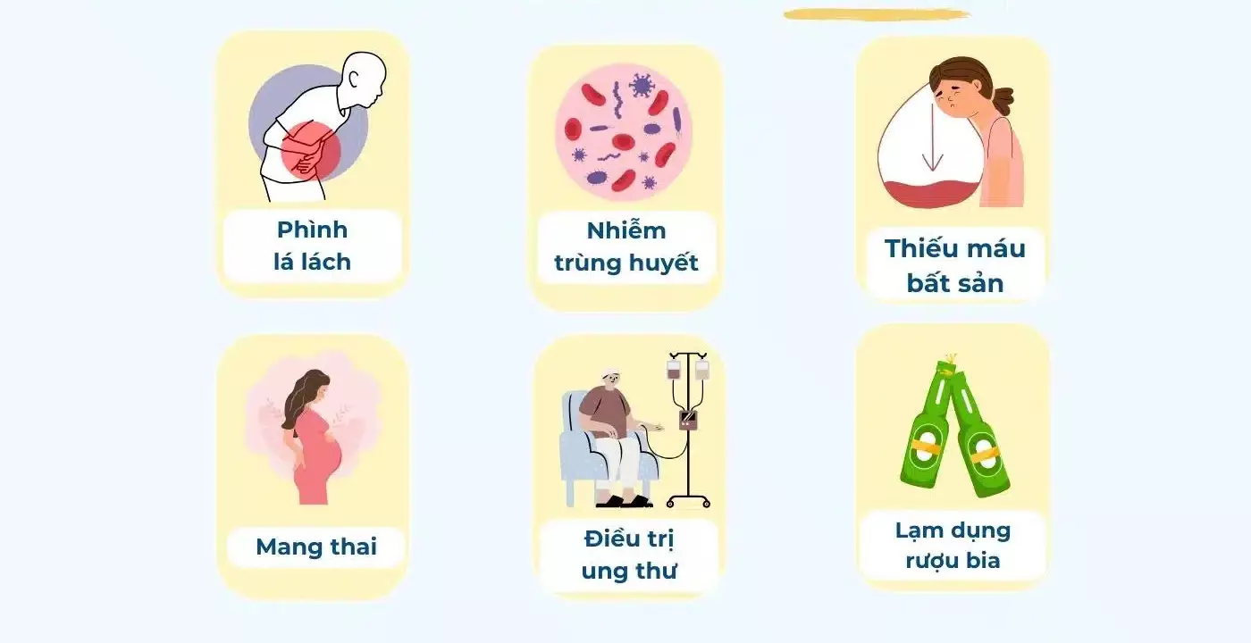 nguyên nhân chỉ số plt thấp