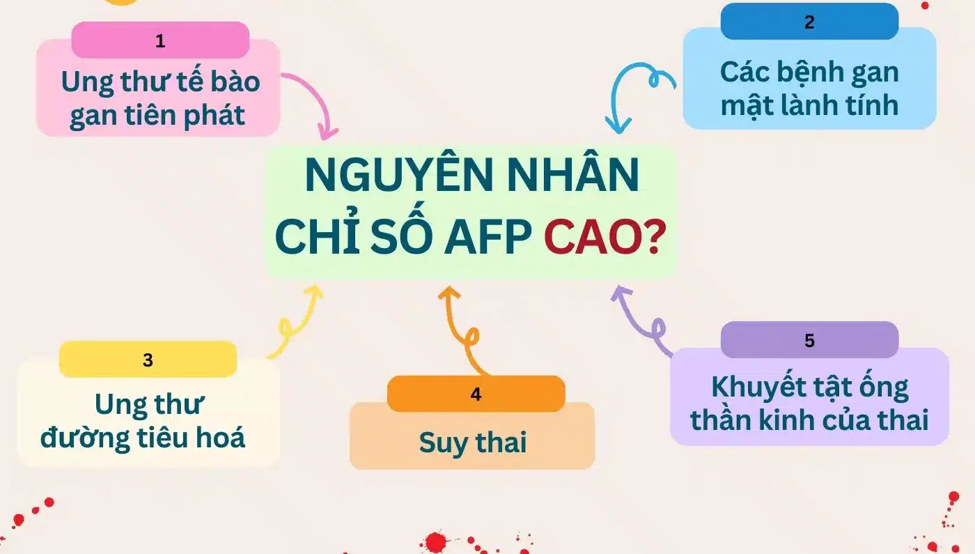 nguyên nhân khiến chỉ số afp tăng cao