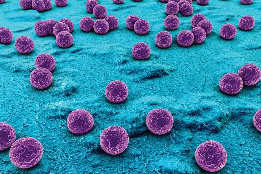 nhiễm khuẩn staphylococcus aureus