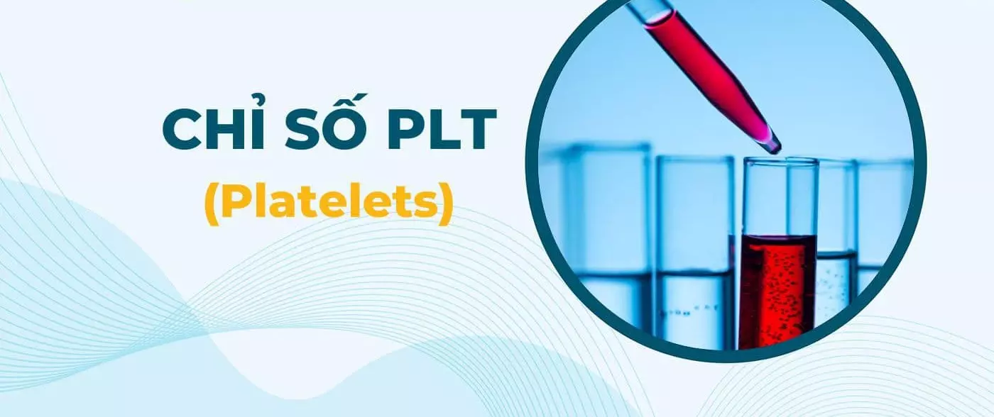 Chỉ số PLT là gì? Chi tiết các bước và mục đích xét nghiệm PLT