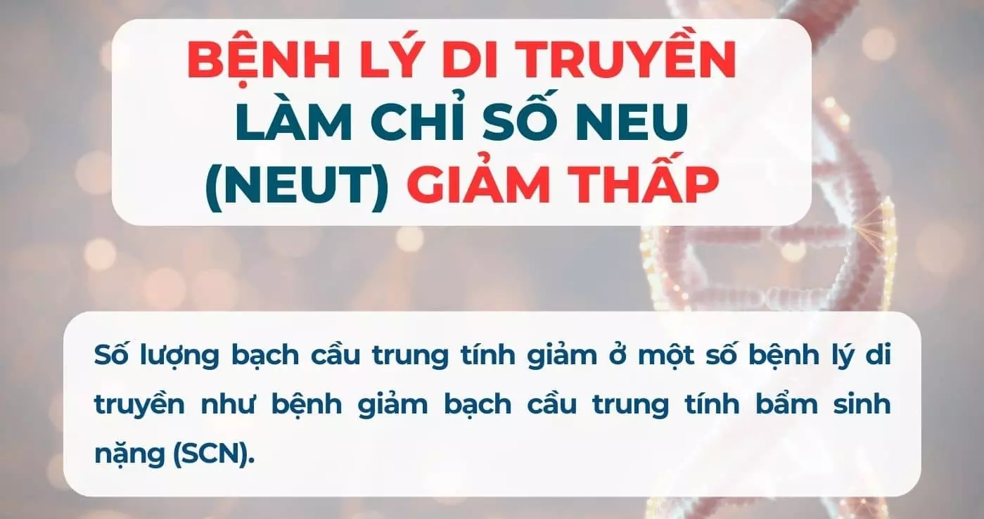 bệnh lý di truyền làm chỉ số neut giảm thấp