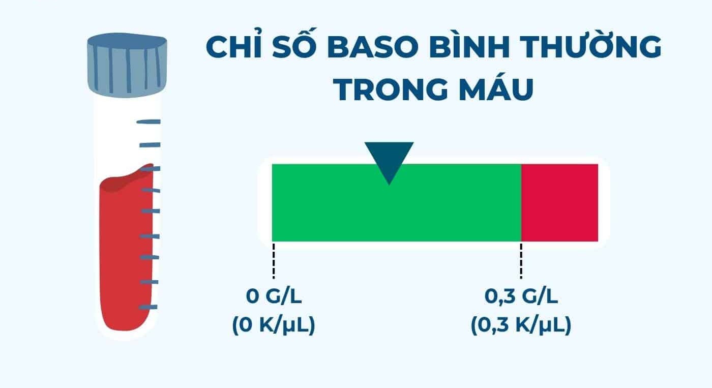 chỉ số baso bình thường trong máu