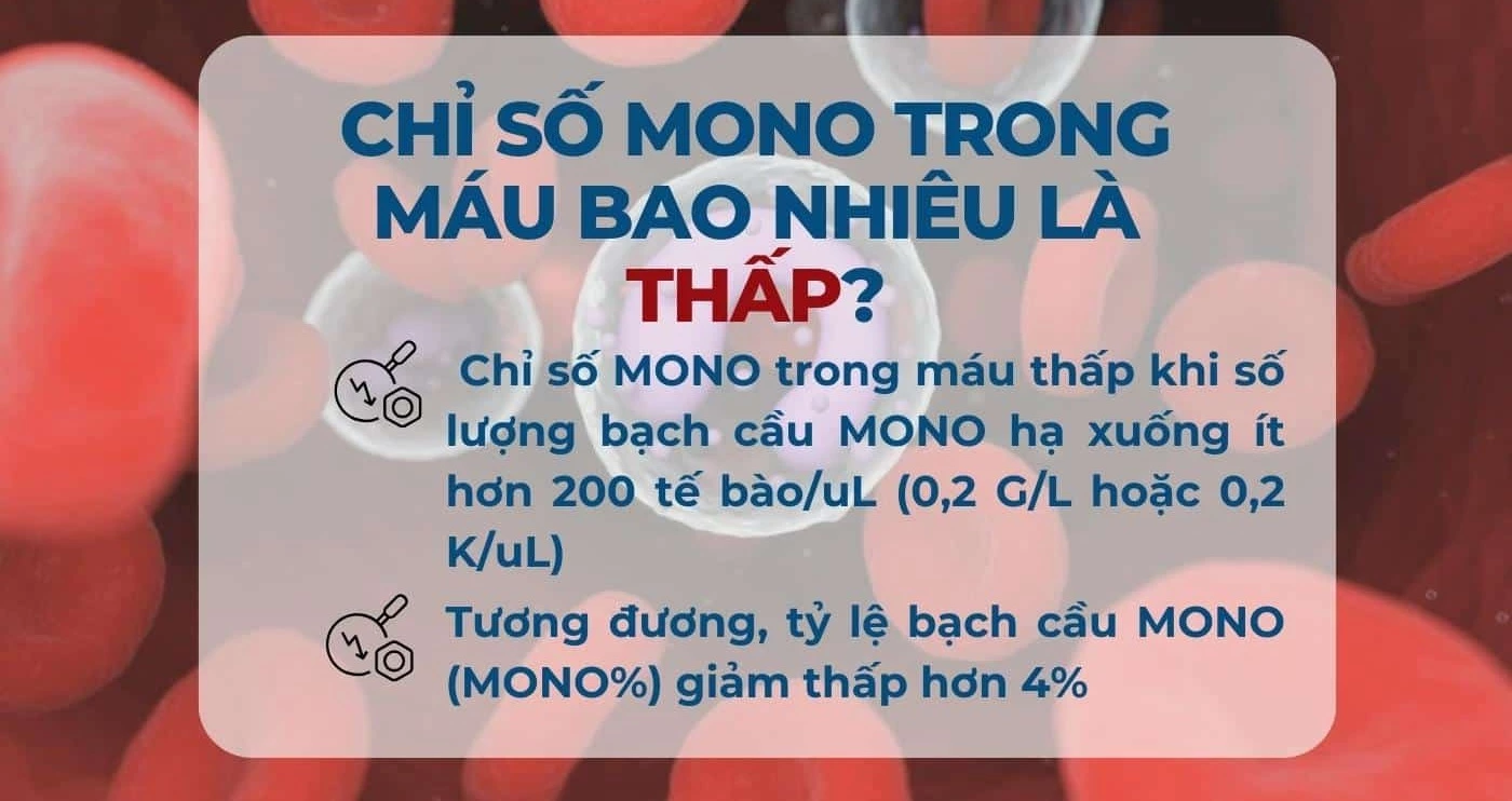 chỉ số mono trong máu thấp