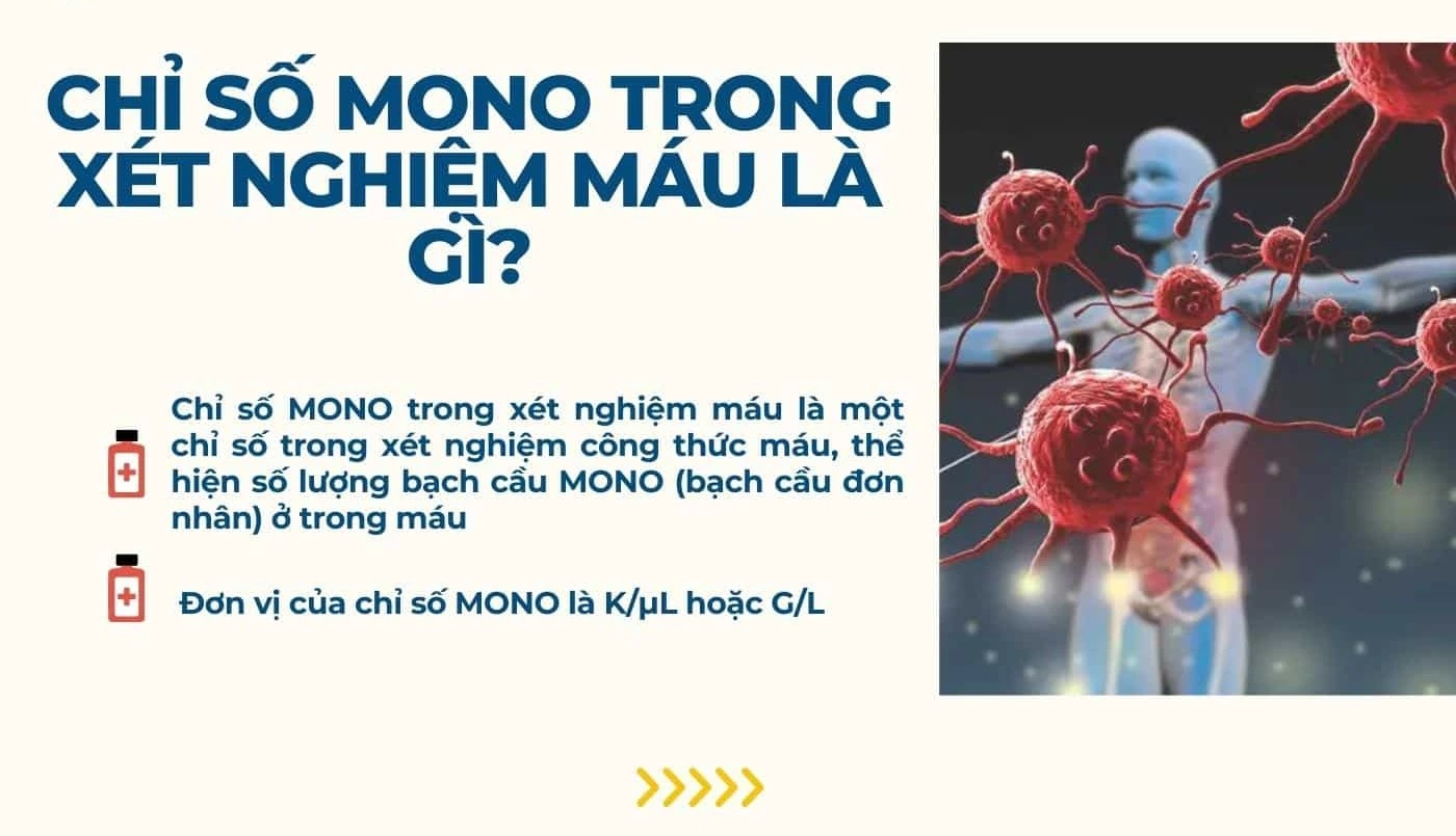 chỉ số mono trong xét nghiệm máu là gì