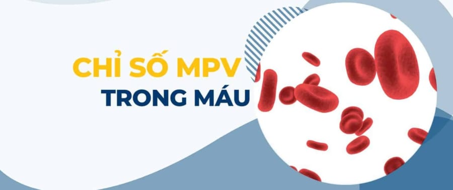 chỉ số mpv là gì