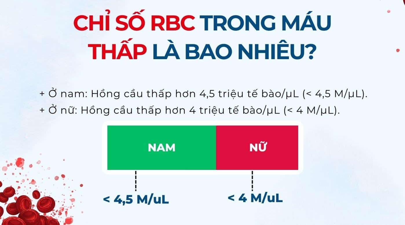 chỉ số rbc thấp