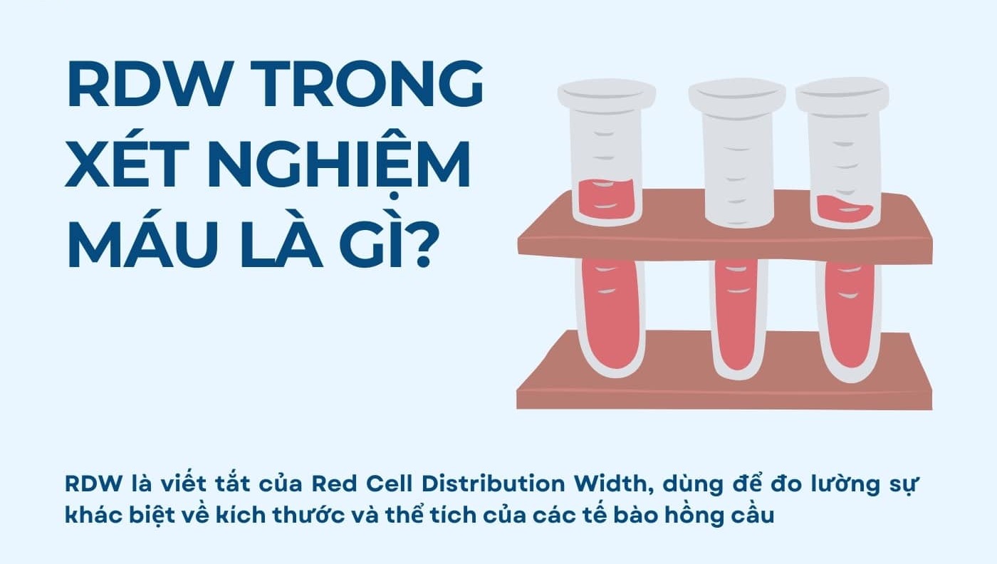 chỉ số rdw