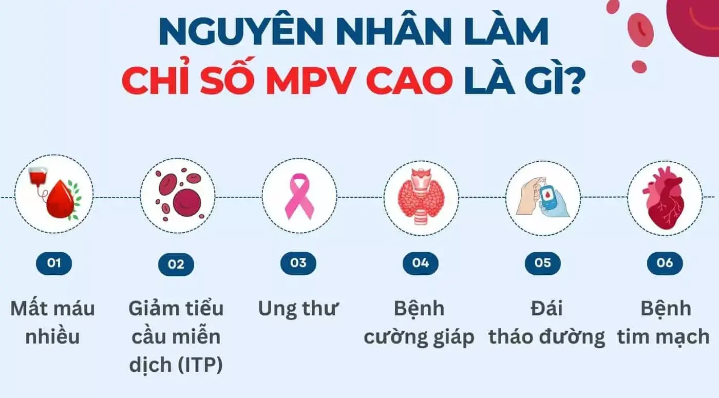 nguyên nhân làm chỉ số mpv tăng cao