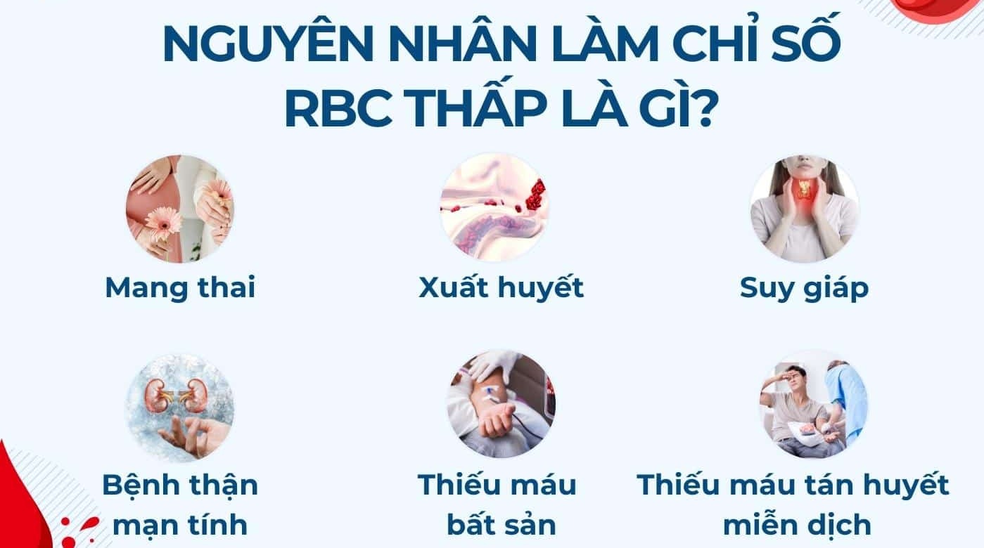 nguyên nhân làm chỉ số rbc giảm