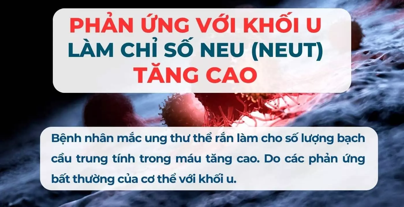 phản ứng với khối u làm chỉ số neut tăng cao