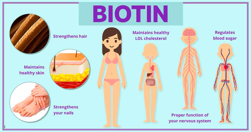 tác dụng của biotin