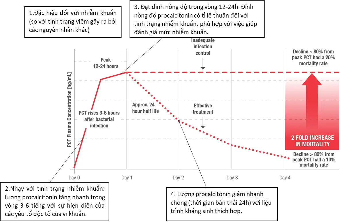 ứng dụng pct trong điều trị kháng sinh