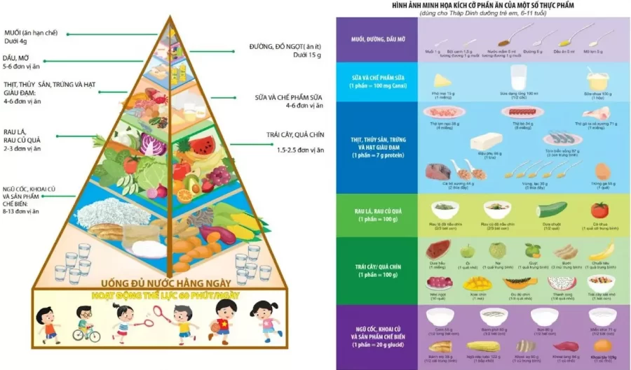 tháp dinh dưỡng cho trẻ 6 11 tuổi