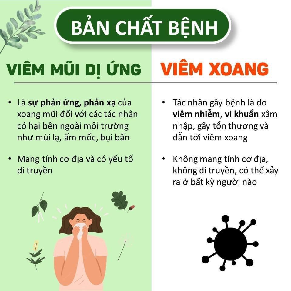 so sánh viêm mũi dị ứng và viêm xoang