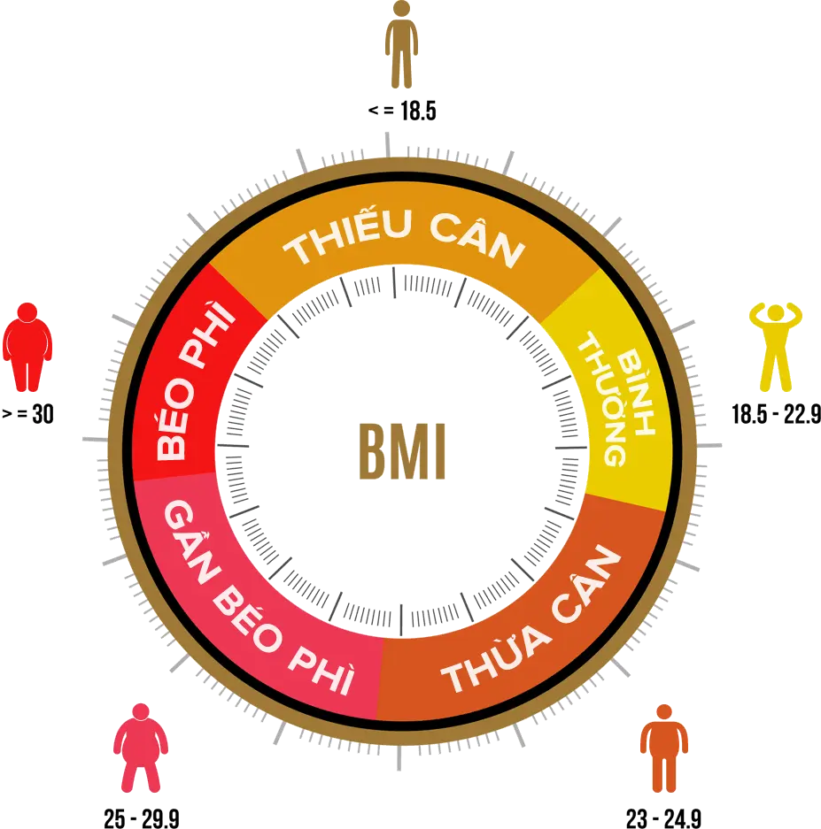 bmi là gì