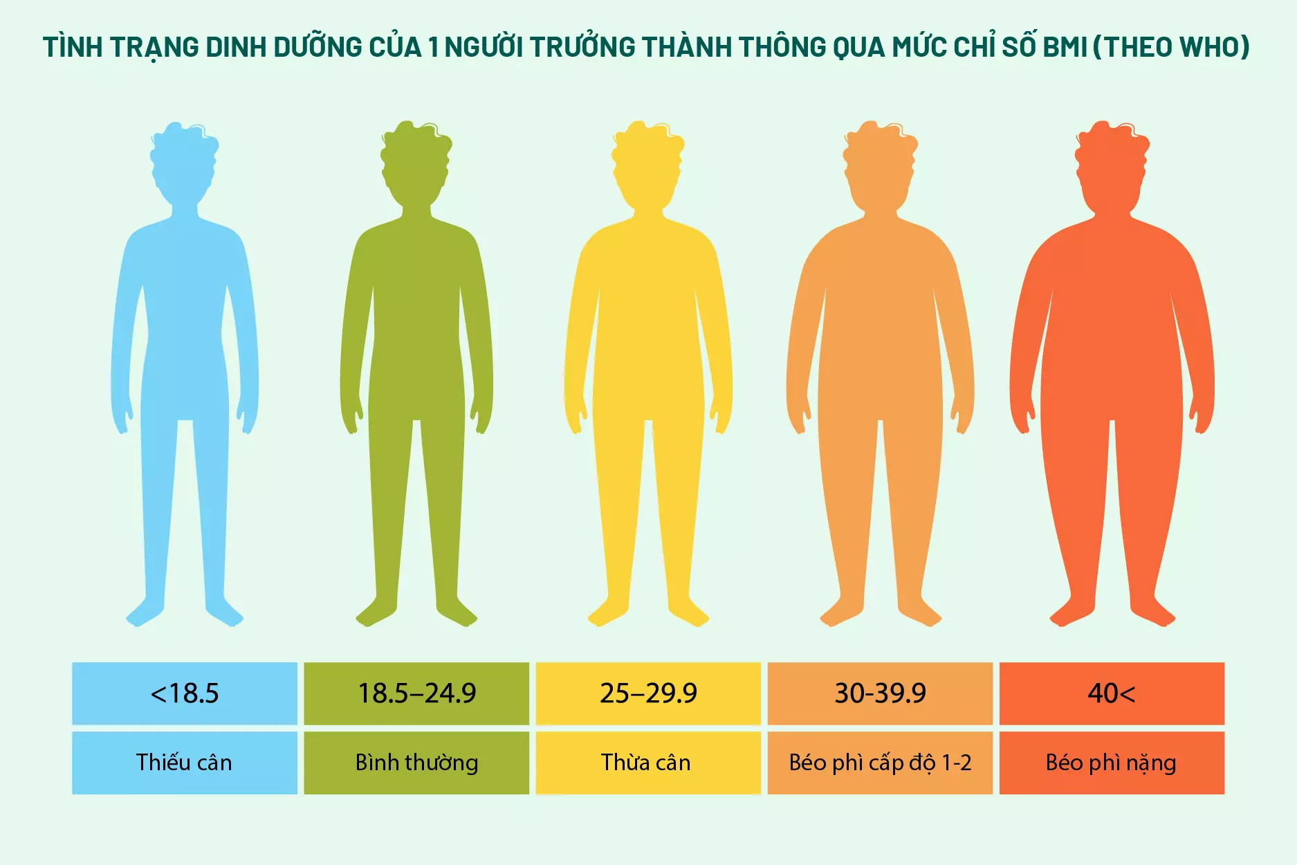 thang đối chiếu chỉ số bmi nam giới