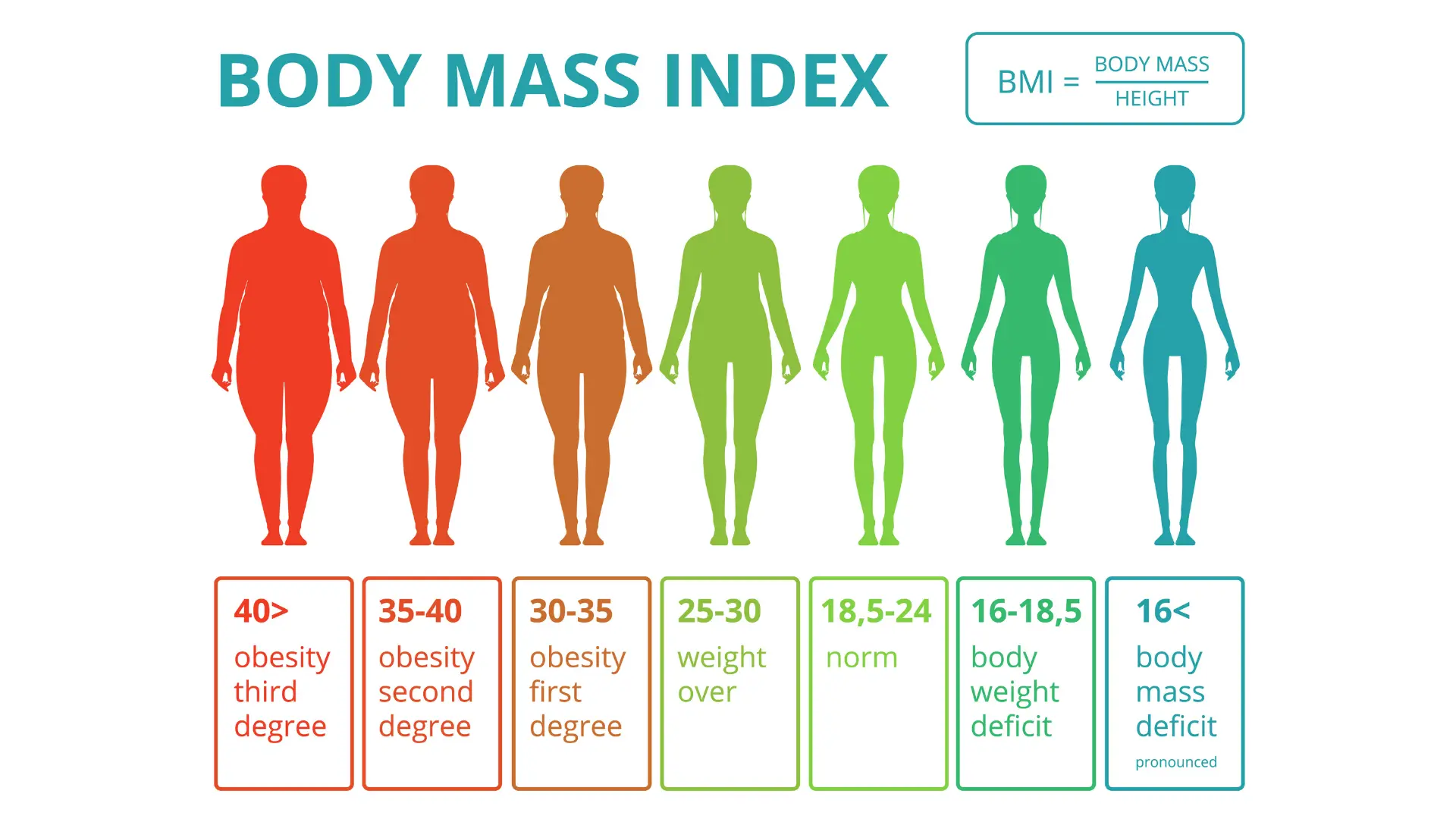 thang đối chiếu chỉ số bmi nữ giới